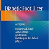 Diabetic Foot Ulcer: An Update 1st ed. 2021 Edition