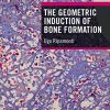 The Geometric Induction of Bone Formation (PDF)