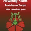 Embryology of Flowering Plants: Terminology and Concepts, Vol. 3: Reproductive Systems 1st Edition