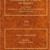 Cingulate Cortex (Volume 166) (Handbook of Clinical Neurology (Volume 166)) 1st Edition