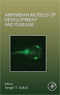 1635322511 462654042 amphibian models of development and disease volume 145 current topics in developmental biology volume 145 1st edition