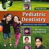 Pediatric Dentistry: Principles and Practice, 3rd edition (PDF)