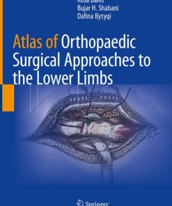 Atlas of Orthopaedic Surgical Approaches to the Lower Limbs (EPUB)