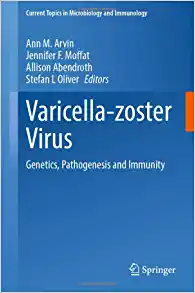 Varicella-zoster Virus: Genetics, Pathogenesis and Immunity (Current Topics in Microbiology and Immunology, 438) (EPUB)