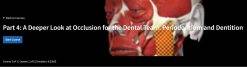 A Deeper Look at Occlusion for the Dental Team Periodontium and Dentition