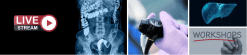 Harvard The Comprehensive 2023 Gastroenterology Update (Course)