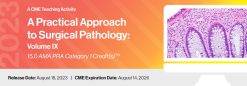 2023 A Practical Approach to Surgical Pathology Volume IX - A Video CME Teaching Activity