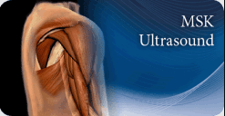 Pegasus Musculoskeletal Ultrasound eCourse 2023 (Course)