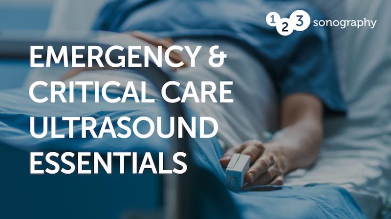 123sonography Emergency and Critical Care Ultrasound Essentials 2023