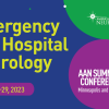 AAN Summer Conference 2023: Emergency and Hospital Neurology (Course)
