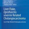 Liver Fluke, Opisthorchis Viverrini Related Cholangiocarcinoma (ePub Book)