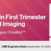 2023 Advances in First Trimester Ultrasound Imaging – DocmedED (Course)