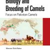 Bionanomaterials For Biosensors, Drug Delivery, And Medical Applications (EPUB)