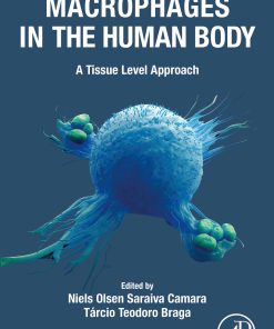 Macrophages In The Human Body: A Tissue Level Approach (EPUB)