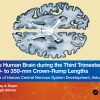 Introduction To Modern Biophysics (PDF)