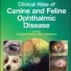 Care Of Head And Neck Cancer Patients For Dental Hygienists And Dental Therapists (EPUB)