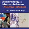 Drug Safety Evaluation, 4th Edition (EPUB)