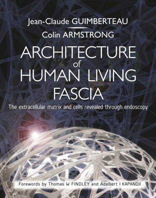 Architecture Of Human Living Fascia: The Extracellular Matrix And Cells Revealed Through Endoscopy (PDF)