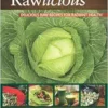 Rawlicious: Delicious Raw Recipes for Radiant Health (EPUB)