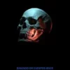 O crânio desconhecido (Portuguese Edition) (EPUB)