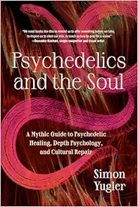 Psychedelics and the Soul: A Mythic Guide to Psychedelic Healing, Depth Psychology, and Cultural Repair (EPUB)