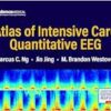 Atlas of Intensive Care Quantitative EEG (EPUB)