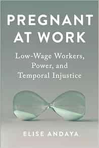 Pregnant at Work (Anthropologies of American Medicine: Culture, Power, and Practice) (PDF)