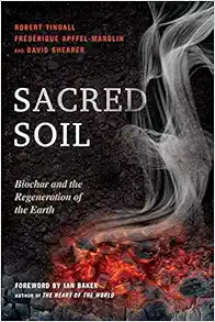 Sacred Soil: Biochar and the Regeneration of the Earth (EPUB)