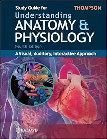 Study Guide for Understanding Anatomy & Physiology: A Visual, Auditory, Interactive Approach, 4th Edition (EPUB)