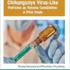 Chikungunya Virus-Like Particles as Vaccine Candidates: A Pilot Study (PDF)