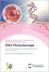 DNA Photodamage: From Light Absorption to Cellular Responses and Skin Cancer (Comprehensive Series in Photochemical & Photobiological Sciences, Volume 21) (EPUB)