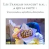 Les Français mangent mal : à qui la faute ?: Consommation, agriculture, alimentation (French Edition) (EPUB)