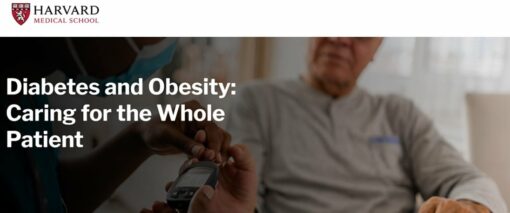 Harvard Diabetes and Obesity Caring for the Whole Patient 2025 (Videos with subtitles + Slides)