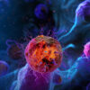 Memorial Sloan Kettering Cancer Center Update in Hematology and Medical Oncology 2025