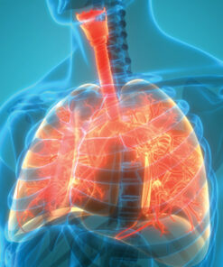 Oakstone The Brigham Board Review in Pulmonary Medicine 2025