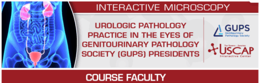 USCAP Urologic Pathology Practice in the Eyes of Genitourinary Pathology Society (GUPS) Presidents 2025